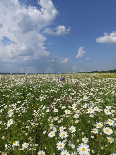 Участок 16 сот. (ИЖС)