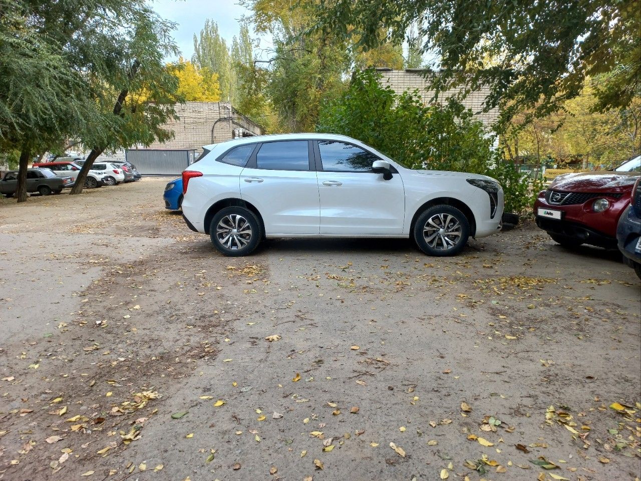 HAVAL Jolion: фото владельца