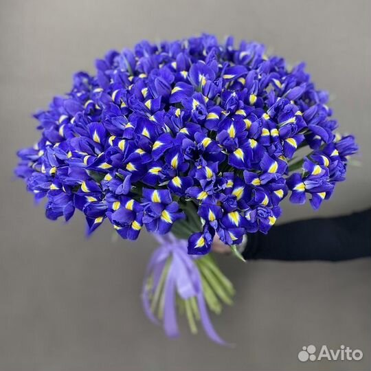 Ирис, Букет Цветов с Доставкой, Цветы 51