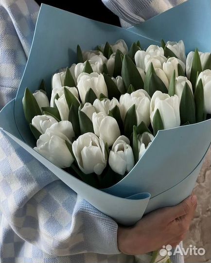 Тюльпаны Цветы Букеты