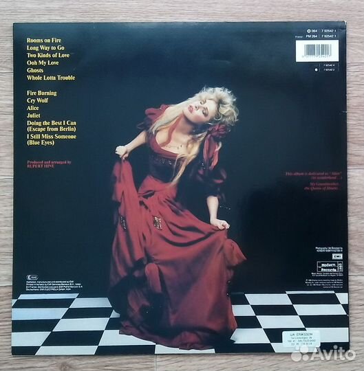 Stevie Nicks – The Other Side Of The Mirror