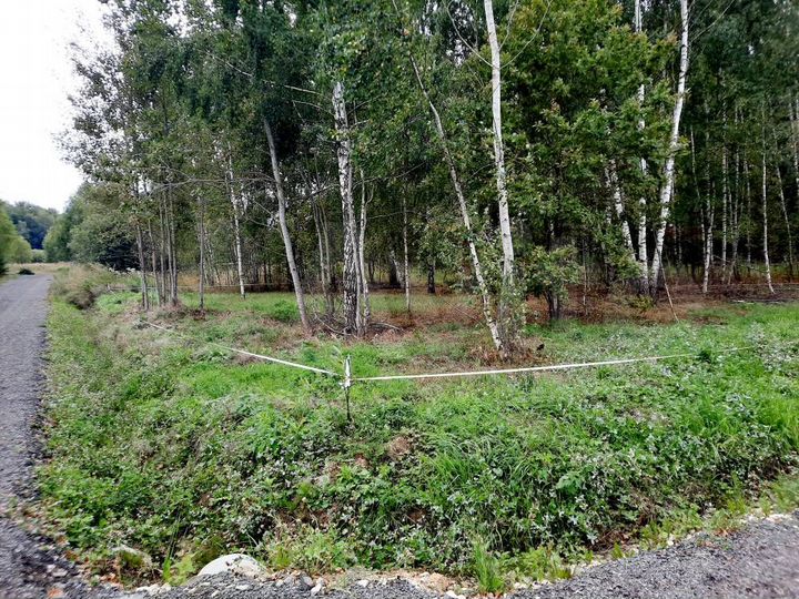 Участок 6 сот. (СНТ, ДНП)