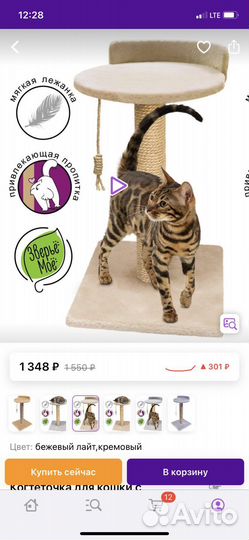 Когтеточка для кошек