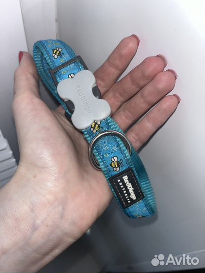 Ошейник для собаки