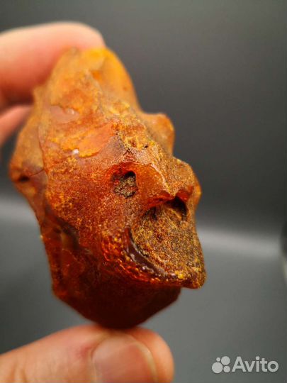 Янтарь балтийский, самородок