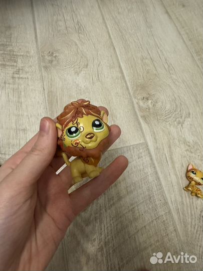 Little Pet shop