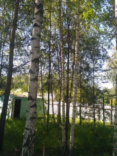 Участок 8 сот. (СНТ, ДНП)