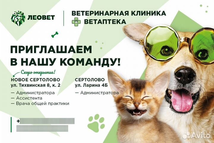 Ветеринарный врач