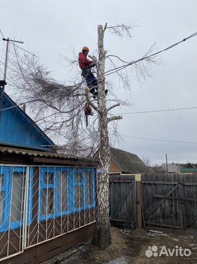 Спил,кронирование деревьев любой сложности