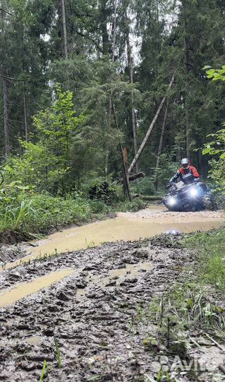 Прокат квадроциклов