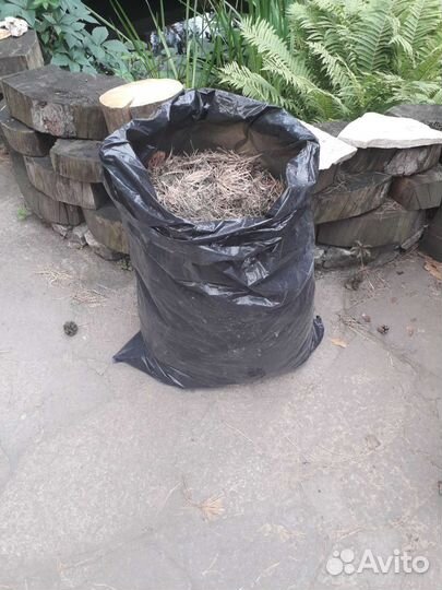 Хвоя сосновая для дачи в мешках