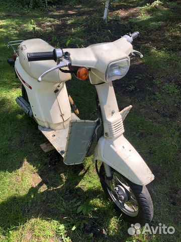 Honda eve smile