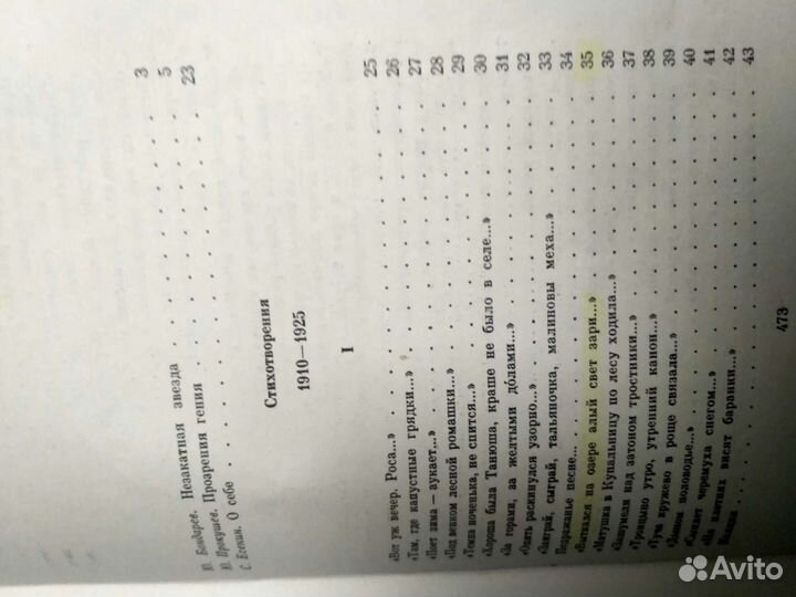 Н.А. Некрасов, С. Есенин, А.П. Чехов