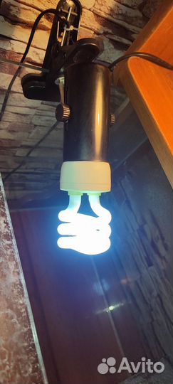 Аквариум для черепах