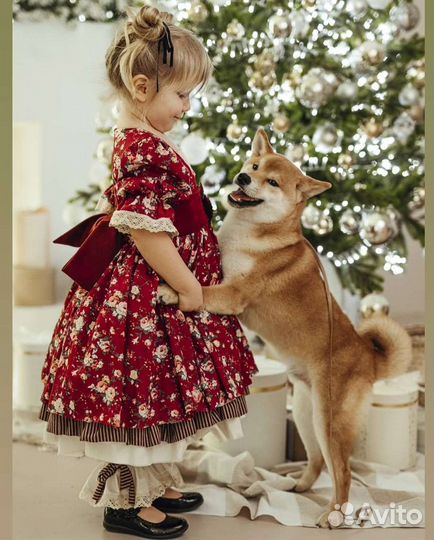 Собака для фотосессии