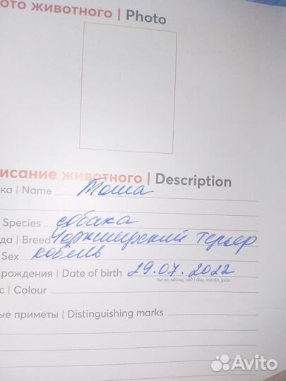 Продам йоркширского терьера