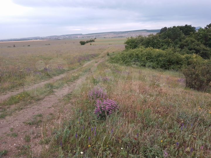 Участок 5 сот. (СНТ, ДНП)