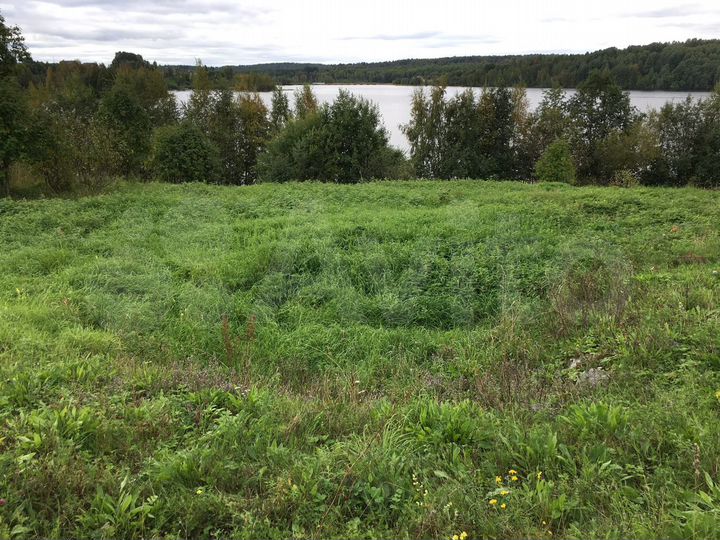 Участок 46 сот. (СНТ, ДНП)