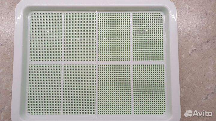 Лоток для выращивания микрозелени 25 на 32