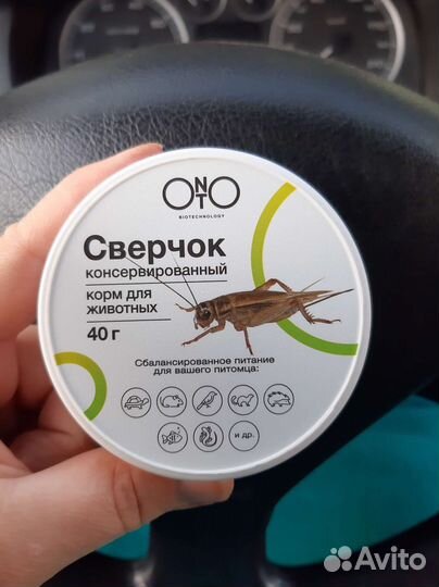 Сверчки кормовые