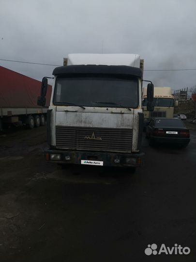 МАЗ 437041-262, 2006