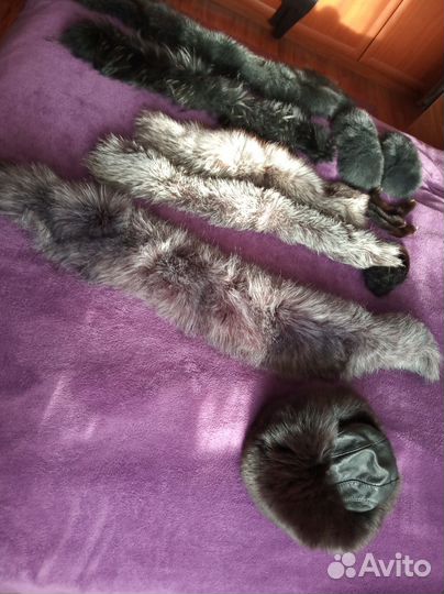 Шкурка животного