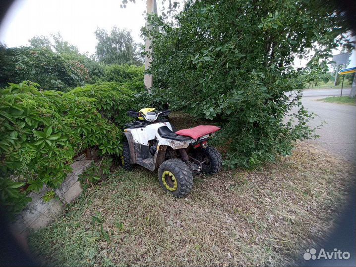 Avantis hunter 200 или обмен на квадроцикл