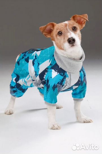 Комбинезон для собаки деовчки в отличном состоянии