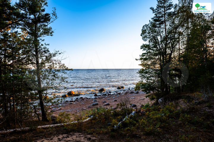 Участок 12 сот. (СНТ, ДНП)