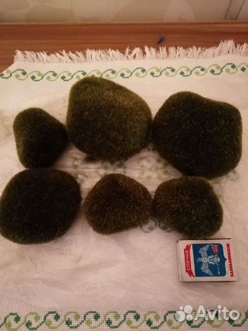 Искусственный мох Камни