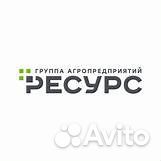 Заведующий столовой