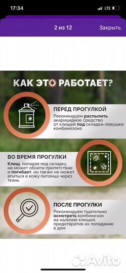 Защитный комбинезон для собаки