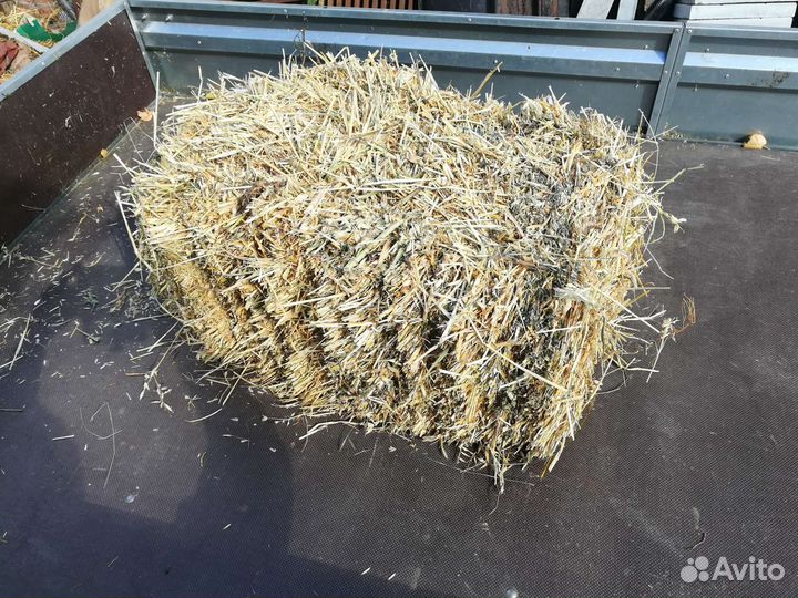 Солома овсяная