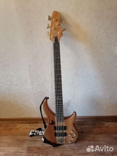 5 струнная бас гитара