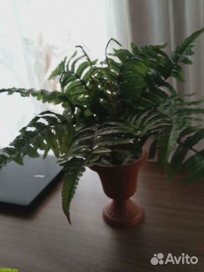 Искусственные цветы