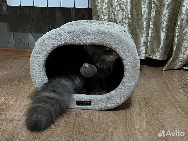 Домик для кошки