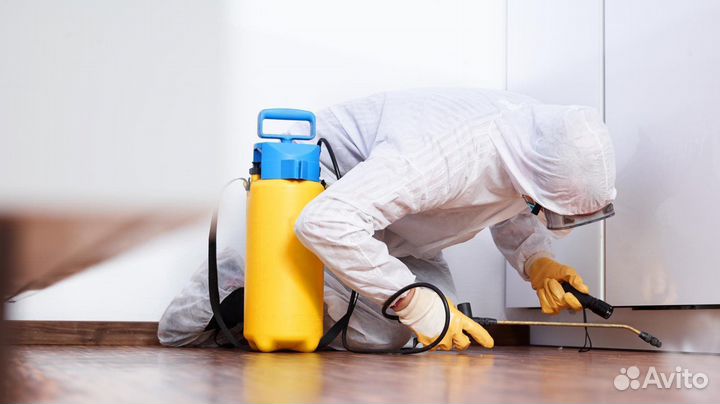 Уничтожение тараканов обработка от клопов и блох