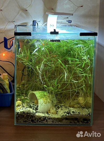 Аквариум aquael 30L
