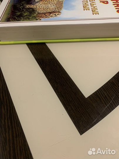 Энциклопедия Удивительные животные