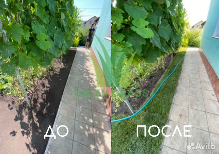 Рулонный газон под ключ