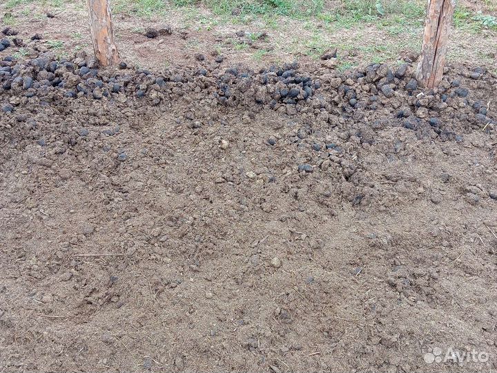 Навоз конский в мешках