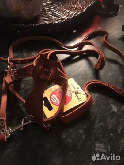 Шлейка с поводком для кошки