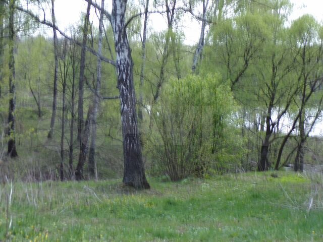 Участок 9 сот. (ИЖС)