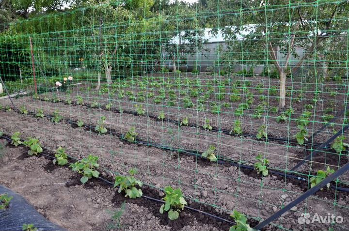 Капельная лента zelna (урожайная)