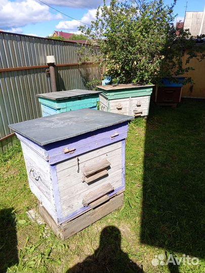 Улей для пчел