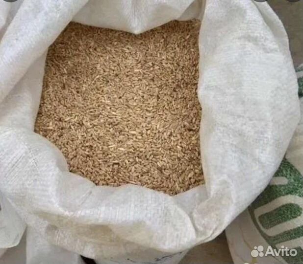 Продам пшеницу