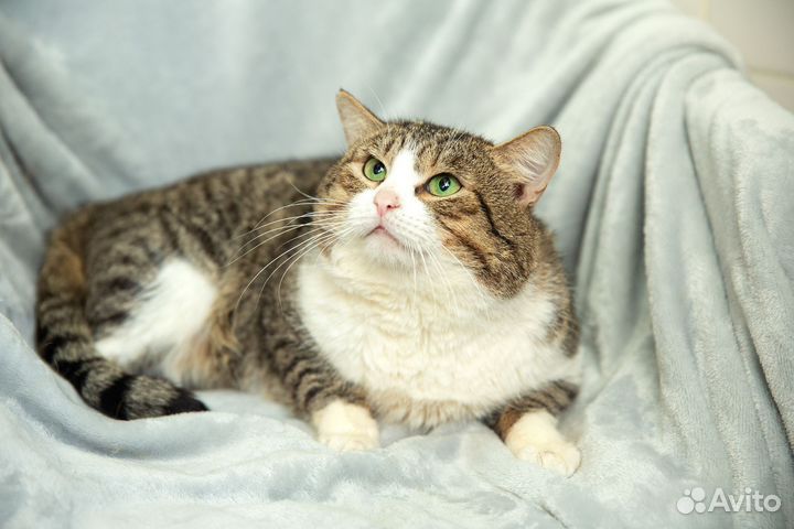Котик Даня
