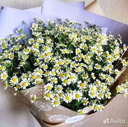 Цветы ромашки. Букеты ромашек. Цветы доставка