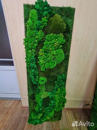 Панель из стабилизированного мха