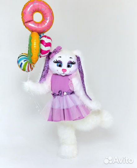 Услуги аниматора